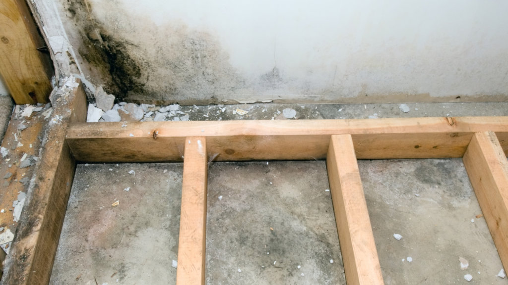 basement mold removal greenville sc